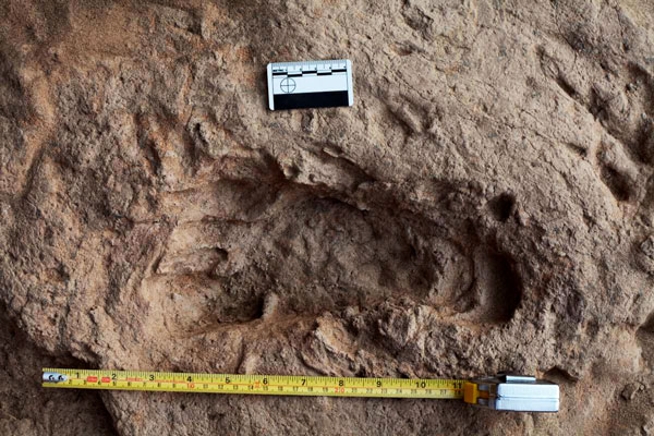 Pisada de ‘Homo erectus’ há 1,5 milhões de anos